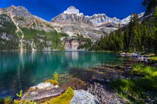 Lake O'Hara-4478